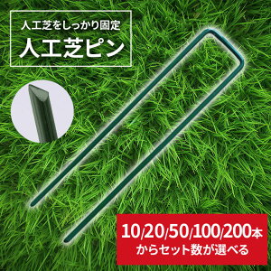 lHŃs hV[g Œs ŗp }s}bg lHŐ usY V[gs