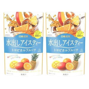 【2袋セット】水出しアイスティー トロピカルフルーツ TB