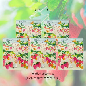 `[[ zoX[ ył܂āz5܃Zbg bNX ObY   C   oX\g oX\g&n[u oXobO