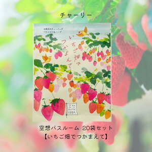 y܂Ƃߔz`[[ zoX[ ył܂āz20܃Zbg bNX ObY   C   oX\g oX\g&n[u oXobO