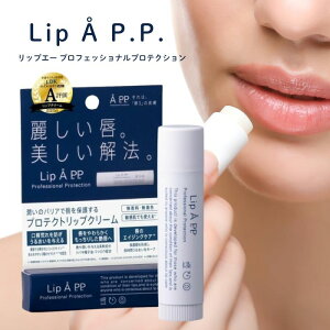 Lip  P.P.4g bvG[vtFbViveNV bvPA bvXeBbN  F ێ ێe