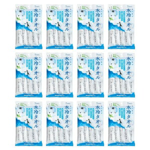 X^I 5{Zbg ⊴XgOȃyM̂ 1 3 6 12 Ђ ΍ ⊴  ėp   C M ΍ ⊴ X ΍  ₷ ΍ V[g^I