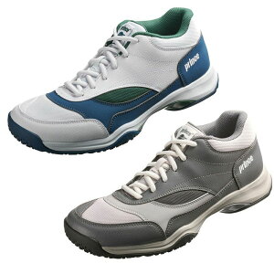 y2025NfzvX(prince) ejXV[Y ChCg AhoX CG (WIDE LITE ADVANCE CG) DPS502 2025N11