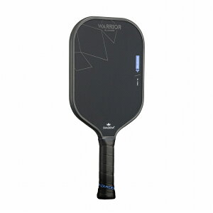 y2025Nfz_CAf(DIADEM)sbN{[ph EH[A[ u[RA v16(Warrior Blucore Pro16) TPA017