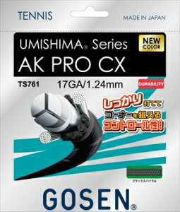 �S�[�Z��(GOSEN)�X�g�����O�@�E�~�V�} AK PRO CX 17�@�V�F�u���b�N�X�p�C�����iTS761�j