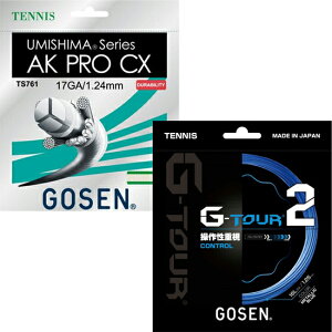 �yGOSEN×LAFINO CHOICE�z�y����グ���菤�i�zGOSEN(�S�[�Z��) G-TOUR2 1.25mm(���^���b�N�u���[) × AK PRO CX 1.24mm(�z���C�g)