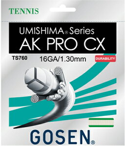 yVzS[Z(GOSEN)XgO@E~V} AK PRO CX 16/17iTS760/TS761j