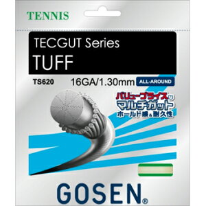 S[Z(GOSEN)@XgO@ebNKbg ^t16iTECGUT TUFF 16) TS620