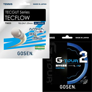 �y����グ���菤�i�zGOSEN(�S�[�Z��) G-TOUR2 1.25mm(���^���b�N�u���[) × TECFLOW 1.25mm