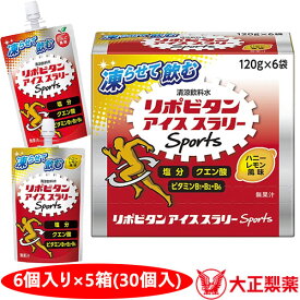 リポビタン アイススラリー 120g×30袋入り 6個入×5箱 大正製薬 ハニーレモン風味 06419 りんご風味 06238 スポーツドリンク クエン酸