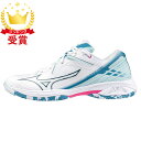 MIZUNO ミズノ シューズ ウエーブクロー3 FIT バドミントン ユニセックス バドミントン ウエーブクロー 71GA244221 ラフィートスポーツ