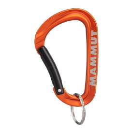 マムート MAMMUT Mammut Mini Carabiner Workhorse Keylock L 2810-00320-2016