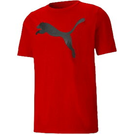 PUMA プーマ ACTIVE ビッグロゴ T シャツ マルチスポーツ Tシャツ 588860-11 半袖