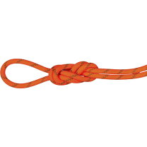 楽天市場】mammut マムート ロープ 8.0 phoenixの通販