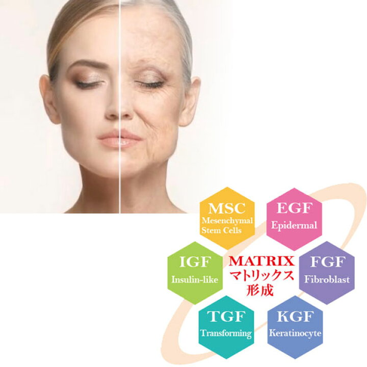 楽天市場】DDS ステムサプリ テロメアプラス 1.5g×30包入 酸化 幹細胞  