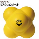 GAViC（ガビック） サッカー・フットサル リアクションボール 24cm GC1223　gavic（RO）