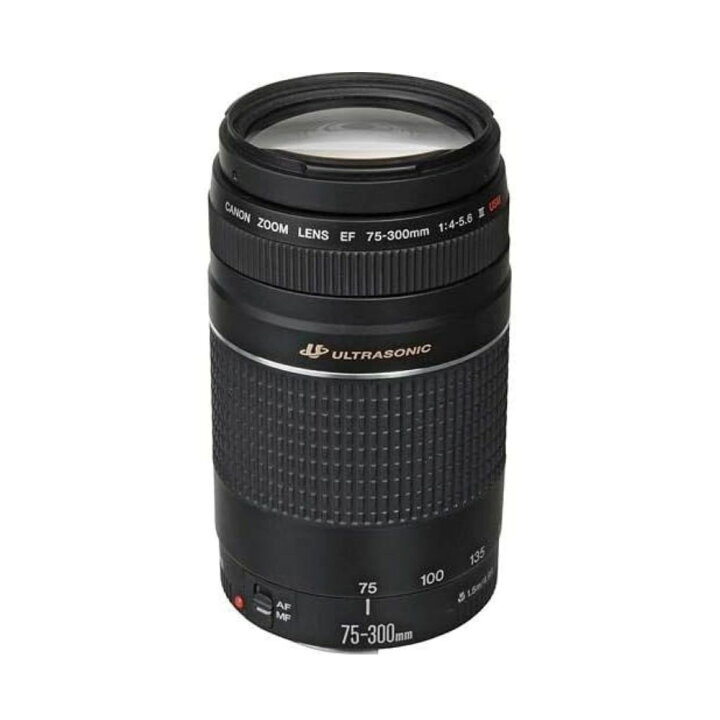楽天市場】【1年保証】キヤノン Canon EF75-300mm F4-5.6 III EF 望遠 