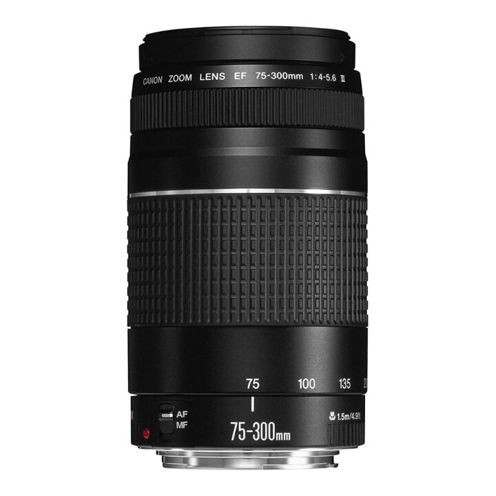 ☆実用美品☆ キヤノン Canon EF 75-300mm F4-5.6 前後キャップ&レンズ 