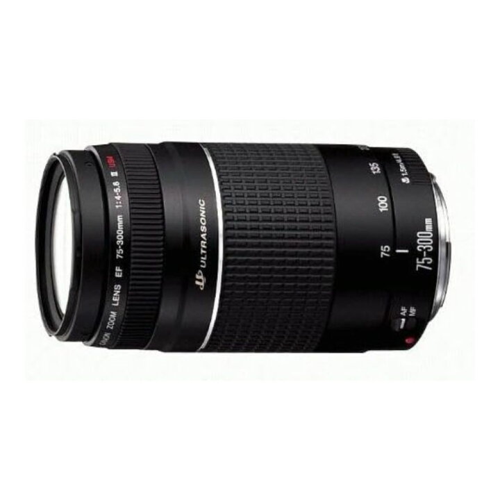 楽天市場】【1年保証】キヤノン Canon EF75-300mm F4-5.6 III EF 望遠  