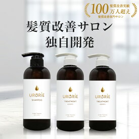 ヘマチン シャンプー トリートメント 美容室専売 ダメージ補修 髪質改善専門 500ml LAFONTE ラフォンテ くせ毛 ヒアルロン酸 日本製 サロン品質 洗い流す ヘアートリートメント ヘアケア ツヤ エイジングケア ダメージケア 高濃度 配合
