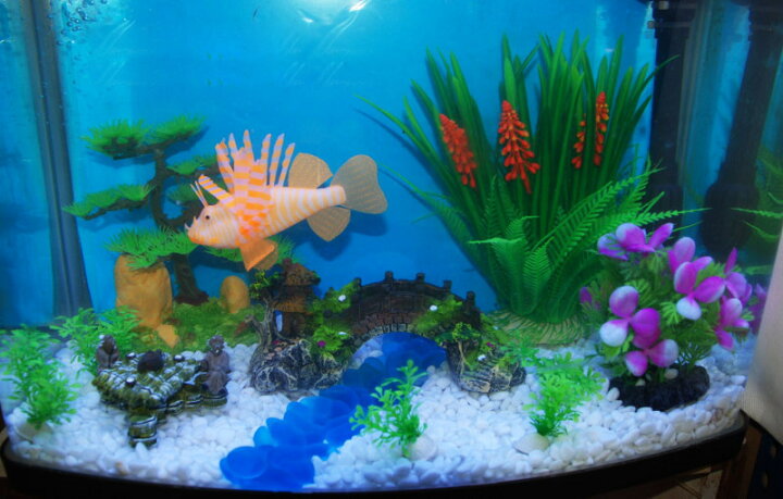 楽天市場 送料無料 レイアウトストーン 飾り石 テトラ 熱帯魚 水槽 置物 装飾 アクアリウム かわいい おしゃれ カラフル 透明 濁り ２種類 Laforest