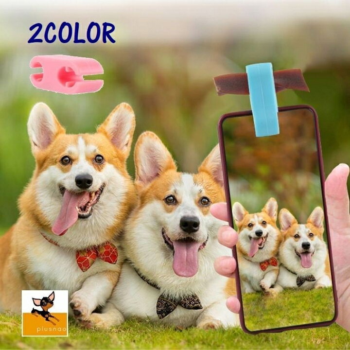 楽天市場 送料無料 クリップ ペット用品 犬 イヌ Dog 猫 ネコ Cat カメラ目線 写真 撮影 自撮り わんちゃん ねこちゃん 取り外し簡単 Laforest