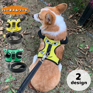  n[lX [h 2_Zbg p  ^b`obN EȒP cmt TCY߉\ DJt ybgpi U Oo o| ȒP   ʗp Ckp 