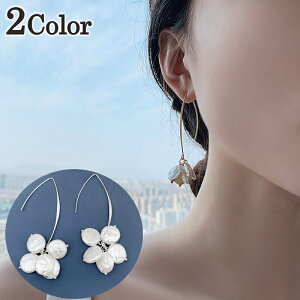  tbNsAX fB[X ANZT[ tFCNp[ RCp[  h  i 킢 ؂₩ p wlp