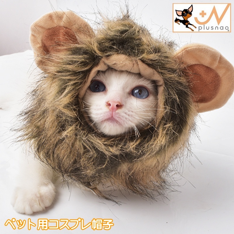 豪奢な ネコ かぶりもの ライオン 帽子 ネコライオン 犬 記念撮影