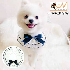  ybgpX^C 悾ꂩ p Lp  ru `[J[  { t tFCNp[ ybgpi hbOEFA ybgEFA   Ckp ʗp lRp