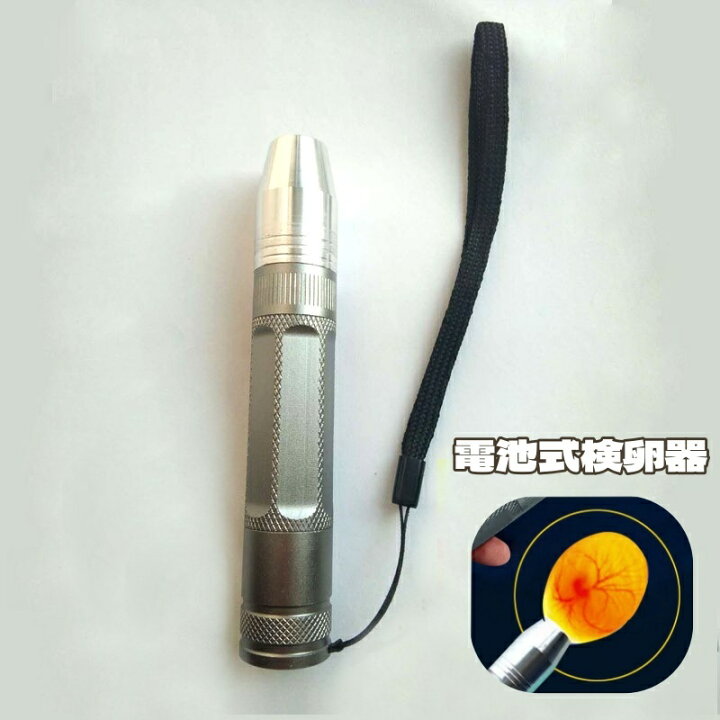 楽天市場】送料無料 検卵器 検卵機 ライト 受精卵 懐中電灯 電池式 