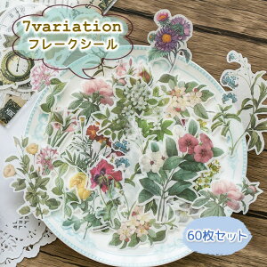  t[NV[ XebJ[  {^jJ fRV[ 60Zbg XNbvubLO A }XLOf R[W g 킢  AeB[N WNW