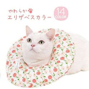  GUxXJ[ Lp p ybgpi ybgObY z h[ic^ \tg^Cv 炩 NbV TCY Rt Xgbp[ rߖh~