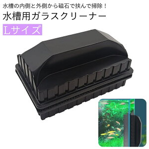  p|pi KXN[i[   }Olbg nhN[i[    | uV N[i[  ȒP eiX KX ANAE Y  