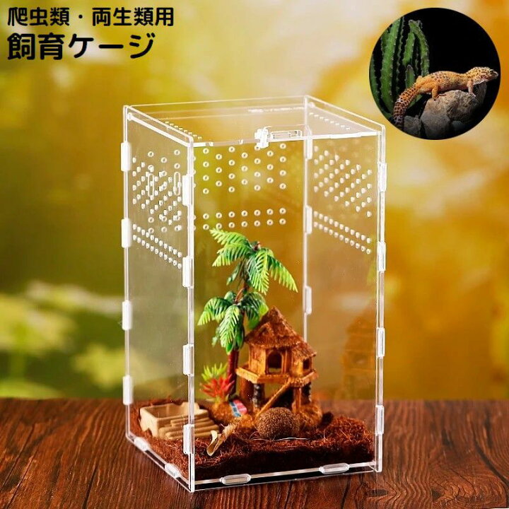 楽天市場】送料無料 飼育ケージ 飼育ケース 爬虫類 両生類 昆虫 小動物 