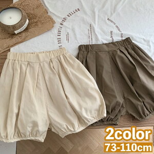  n[tpc J{`pc q LbY xr[ j̎q ̎q {gX Y{ EGXgS n PF Vv    q