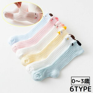  nC\bNX xr[ Ԃ c ̎q j̎q q O j[nC C  bV  ʋC  