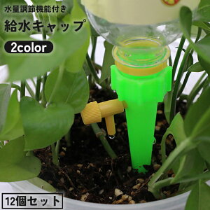  Lbv 12Zbg ʒ ϗtA  s   U  ybg{g mY K[fjO | ~  v^[ ֗