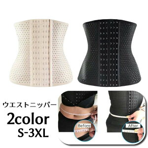  EGXgjbp[ RZbg {fBVFCp[ ␳ fB[X YPA    OzbN т xg zbNdl 傫TCY  x[W ubN