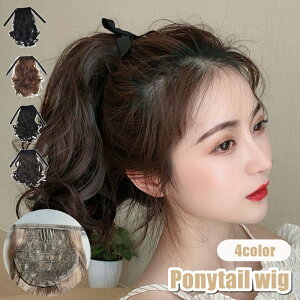  |CgEBbO EBbO |j[e[ fB[X  wl  t  GNXe O J[ EF[u wAAW {  킢  i`