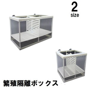  ɐBu{bNX YP[X uP[X u zՕt  NA Obs[ _J x^   琬