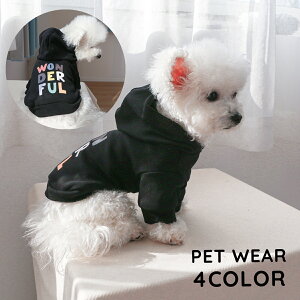  hbOEFA p[J[  ^ ^ ybgEFA ybgpi t[ht  JWA U o 