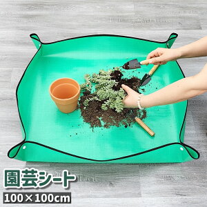  |V[g AւV[g K[fjOg[V[g ڐApbh |pi l{^t ܂肽ݎ Vv y^ 엿 y  _ V[g }bg gC  