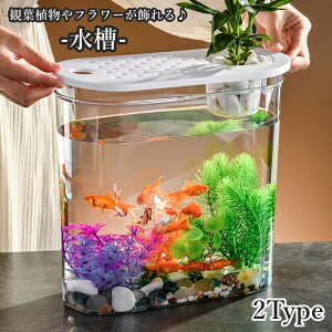    琅 ybg ybgObY Mы ANAE vX`bN NA  v eE ϗtA  CeA {E | _J  X^CbV V