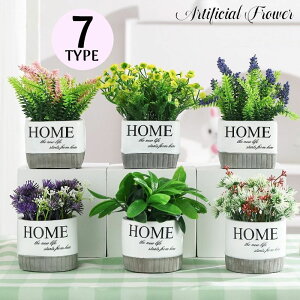   A[gt[ tFCNO[ lHϗtA  A Aؔt ͂Ȃ CeA  A  rO