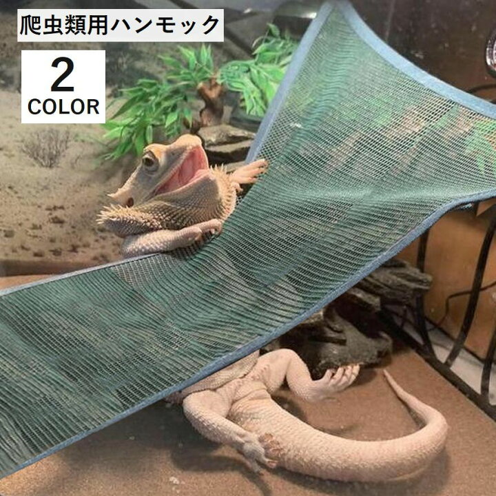 楽天市場】送料無料 爬虫類用ハンモック 爬虫類 両生類 トカゲ ペット 