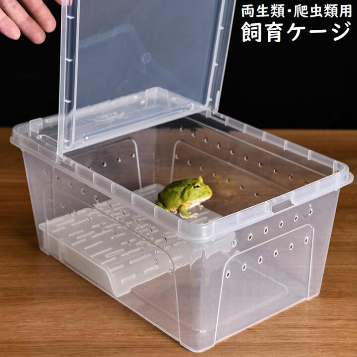 楽天市場】送料無料 飼育ケース プラスチックケース プラケース 両生類 