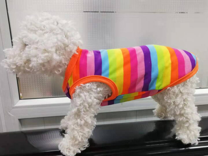 楽天市場】送料無料 ペット用タンクトップ ペットウェア 犬服 猫服 犬 
