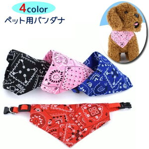  ybgpo_i XJ[t X^C 悾|  hbO hbO ^ ^  `[J[  킢 U DJt JWA X|[eB[ ANZg