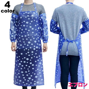  Gv | Lb` N[jO | h h  X^[ 킢 JWA jp